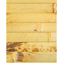 Tissage Bambou Vert Tigré Latte