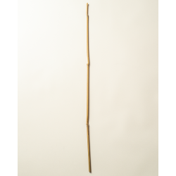 Tuteur Bambou Naturel 150cm pcs