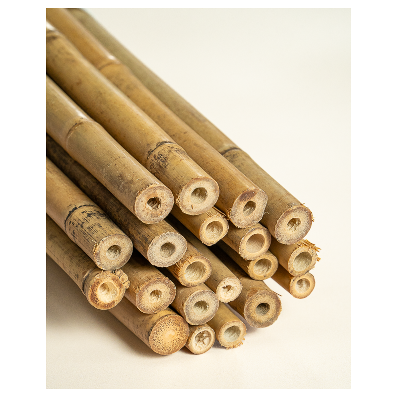 Tuteur Bambou Naturel 180cm pcs