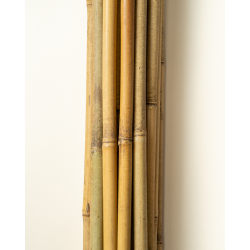 Tuteur Bambou Naturel 210cm pcs