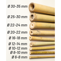 Tuteur Bambou Naturel 210cm pcs