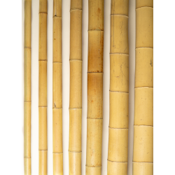 Bambou Déco Gros Diamètre 295cm