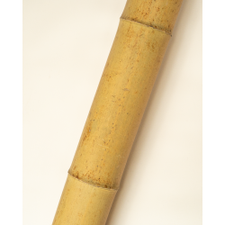 Bambou Déco Gros Diamètre 295cm