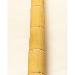 Bambou Déco Gros Diamètre 295cm