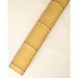 Bambou Gros Diamètre 590cm