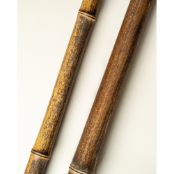 Bambou Négra Naturel 295cm
