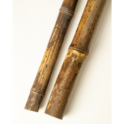 Bambou Naturel Tigré 295cm