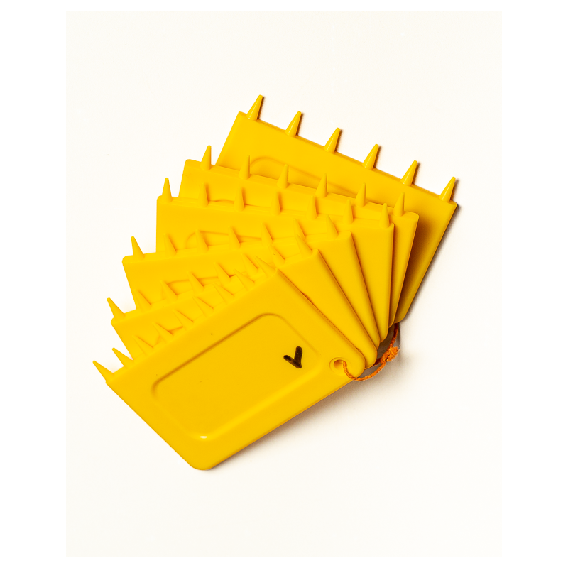 Jeu de 6 Peigne à Canner