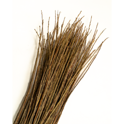 Osier Brut Polyvalent Foncé – Purpurea Daphnoides