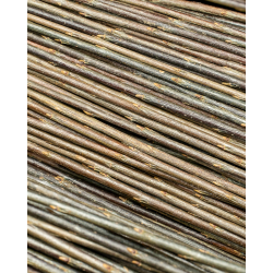 Osier brut polyvalent – Purvil (hybride français)