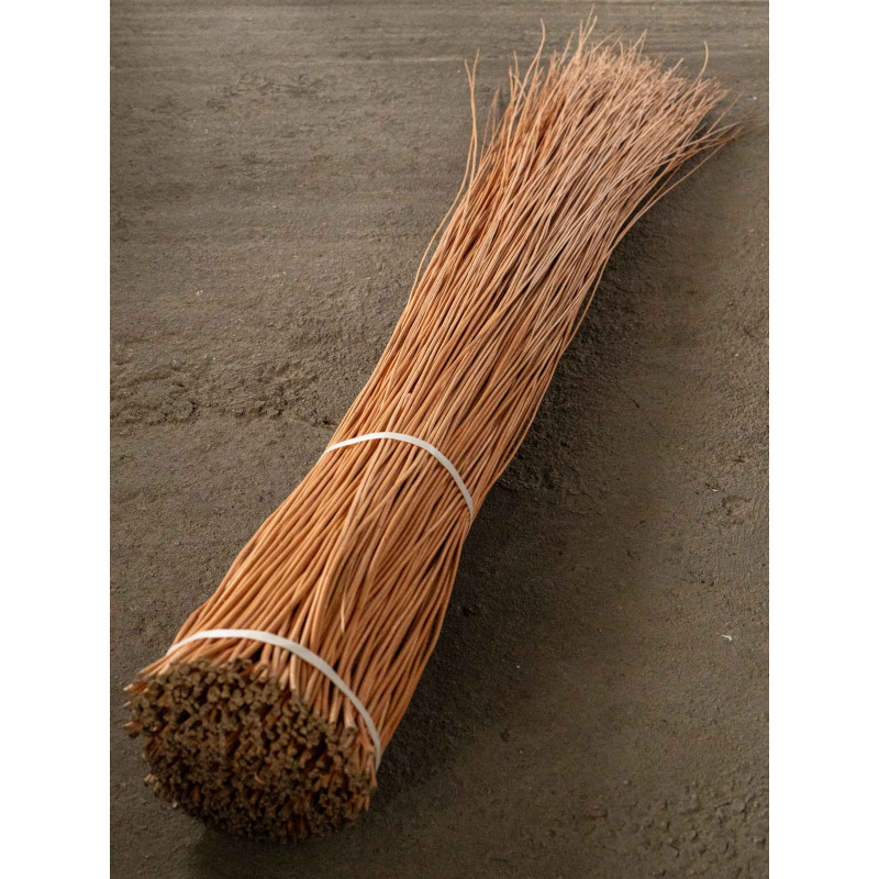 Osier Buff
