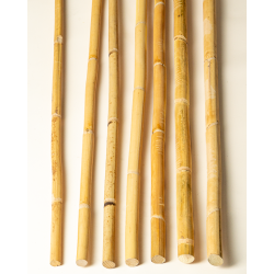 Natural card Manau rattan