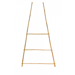 Bamboo trellis height 72cm