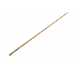 Bamboo cane 60cm