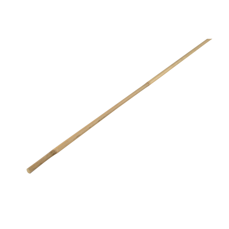 Bamboo cane 60cm