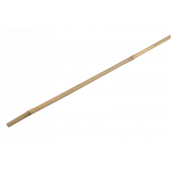 Bamboo cane 120cm