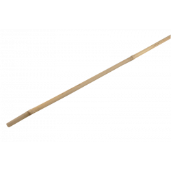 Bamboo cane 150cm