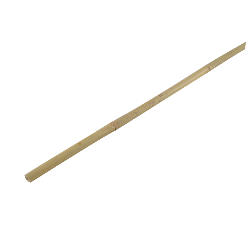 Bamboo cane 180cm