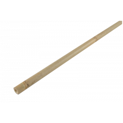 Bamboo cane 244cm