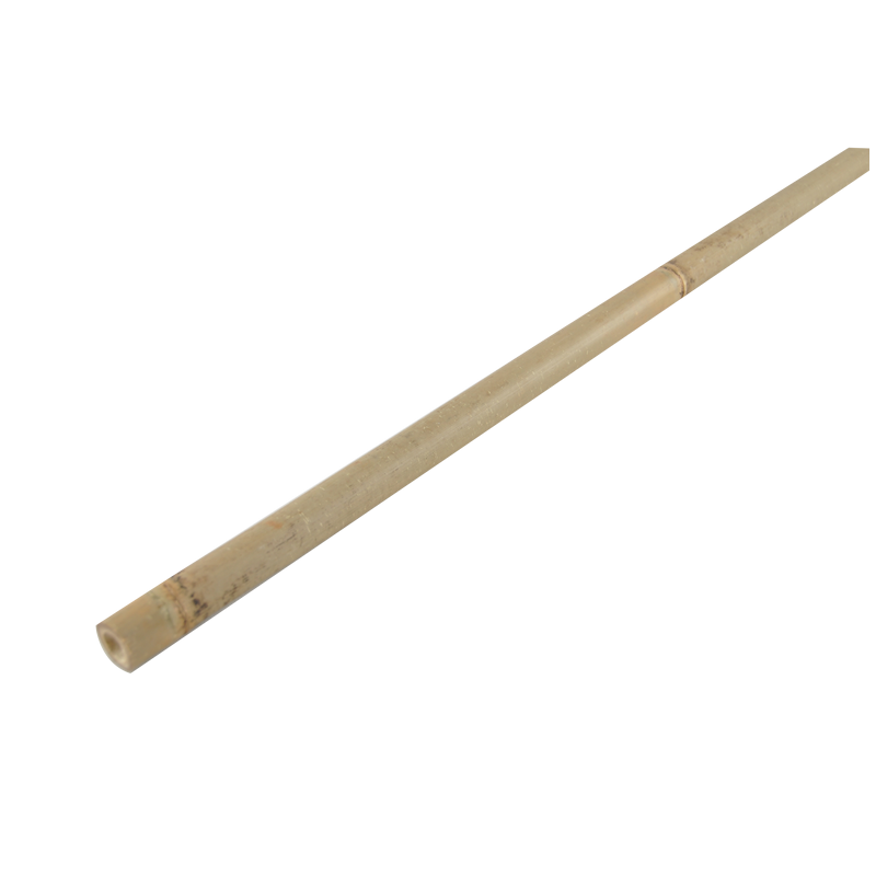 Bamboo cane 244cm