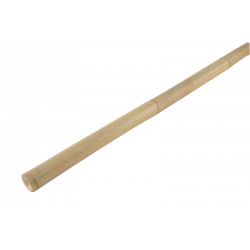 Bamboo cane 300cm