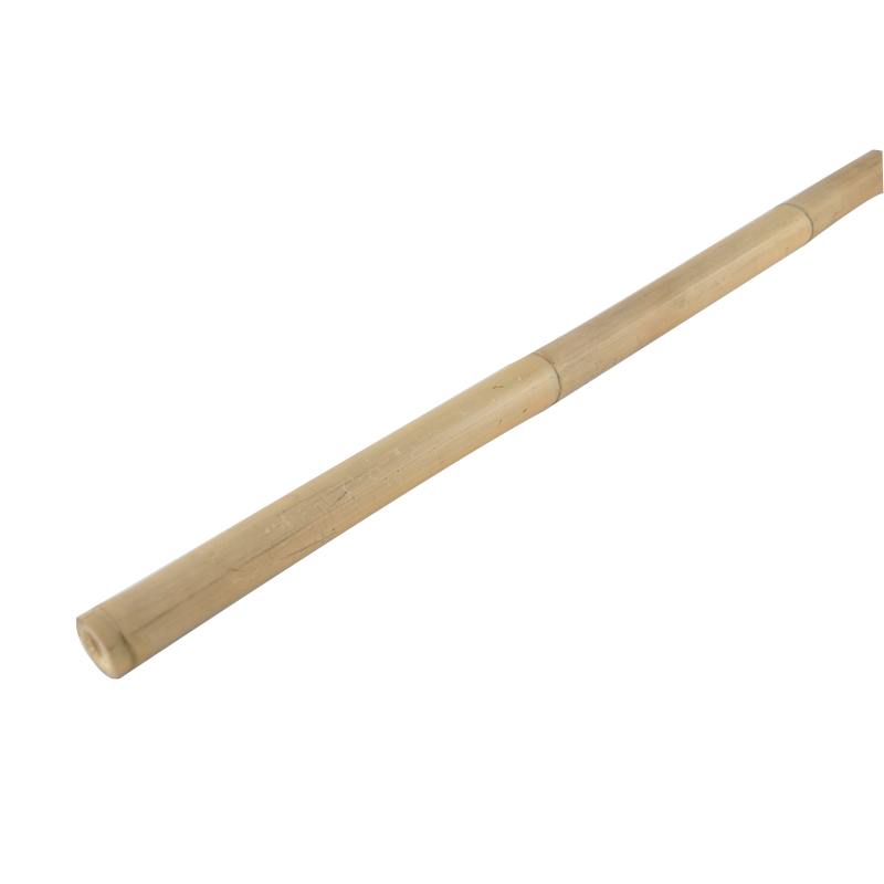Bamboo cane 300cm