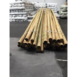 Bamboo Pole length 590cm