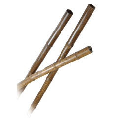 Bambou Naturel Tigré 295cm