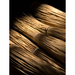 White willow 