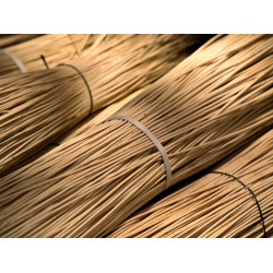 White willow 