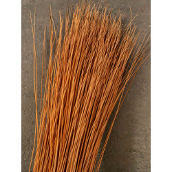 Buff willow 