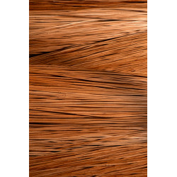 Buff willow 
