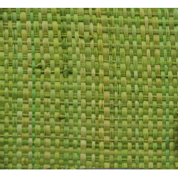 Green Mechanic Raffia Rabane Langarana 