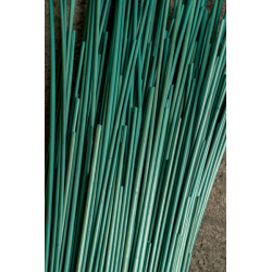 Paille de Seigle Verte