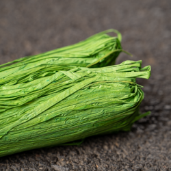 Raphia couleur Vert