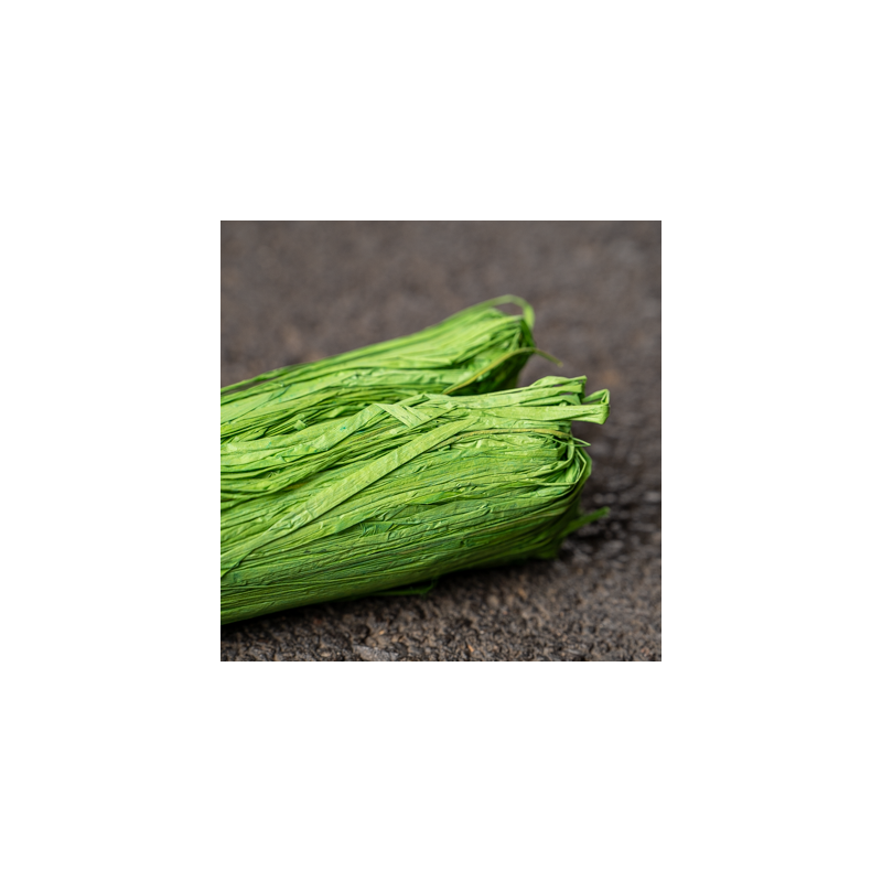 Raphia couleur Vert