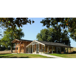 Bambou Gros Diamètre 590cm