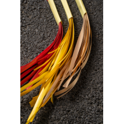 Paille de seigle rouge aplanie