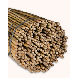 Tuteur Bambou Naturel 90cm pcs