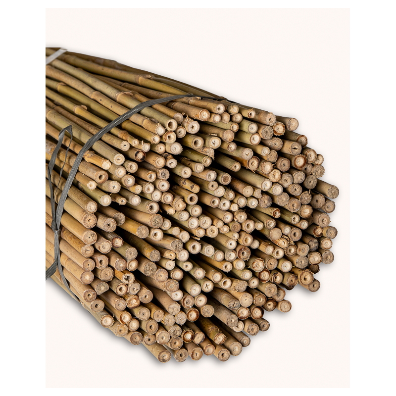 Tuteur Bambou Naturel 90cm pcs