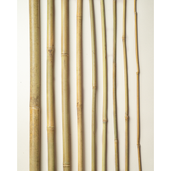 Bamboo Stake 180cm