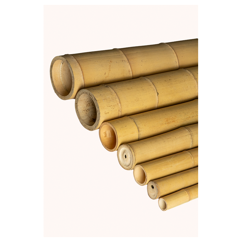 Bambou Déco Gros Diamètre 295cm