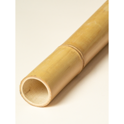 Bambou Déco Gros Diamètre 295cm