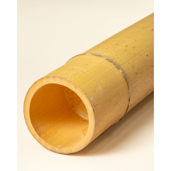 Bambou Déco Gros Diamètre 295cm