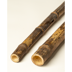Bambou Négra Naturel 295cm