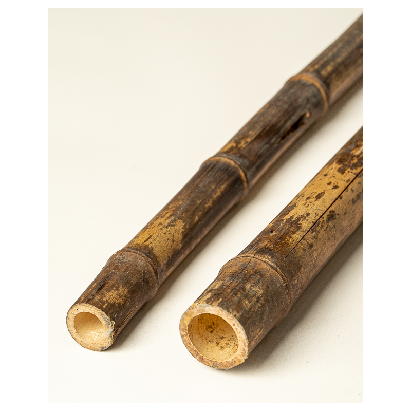 Bambou Négra Naturel 295cm