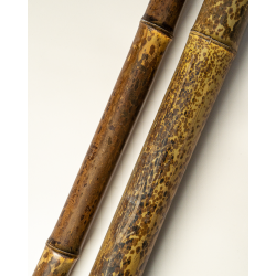 Bambou Naturel Tigré 295cm