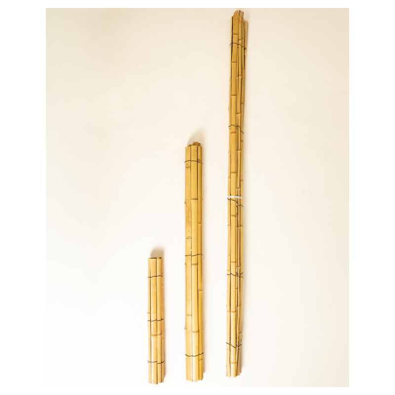 Protection & Palissade Bambou 45cm 