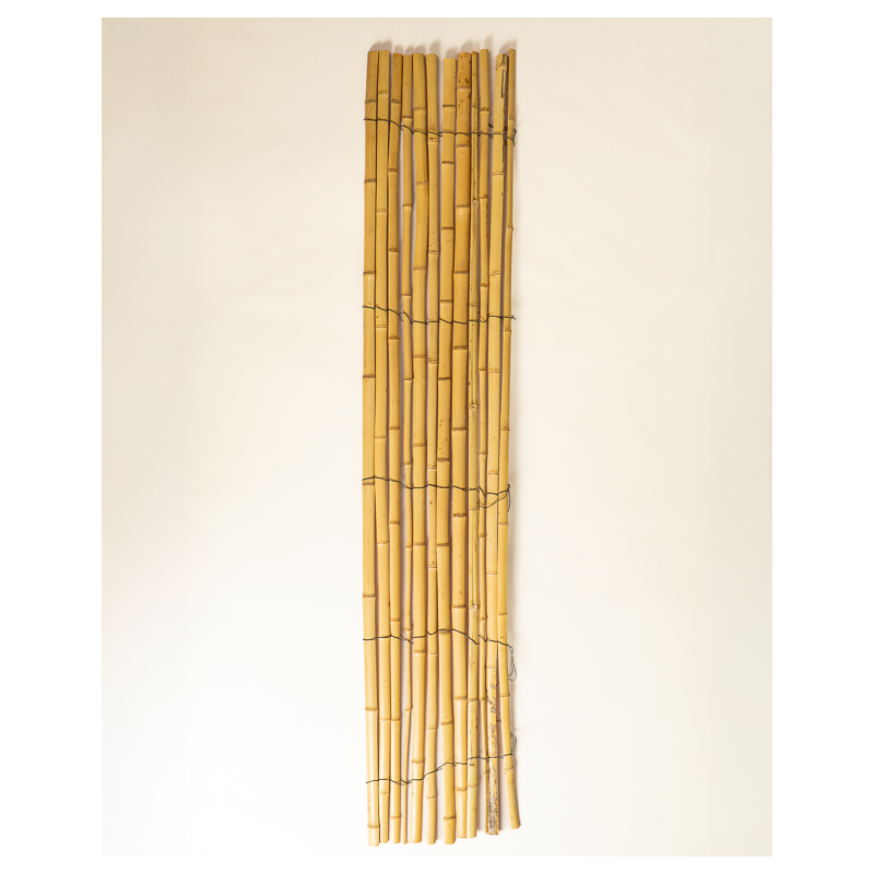 Protection & Palissade Bambou 70cm