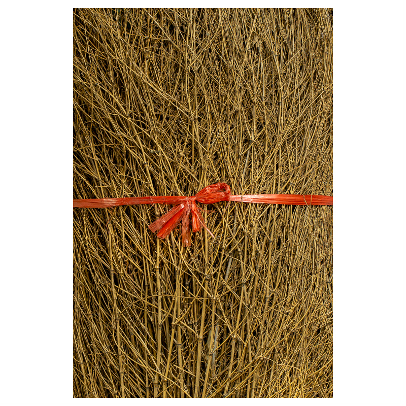 Bambou Broussaille 150/200cm 